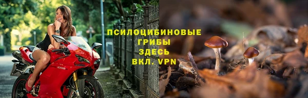ешки Арсеньев