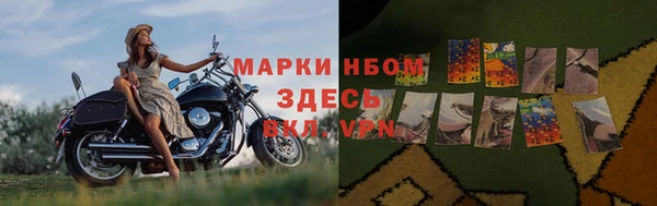 стафф Аркадак