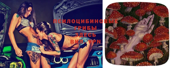 гашик Балабаново